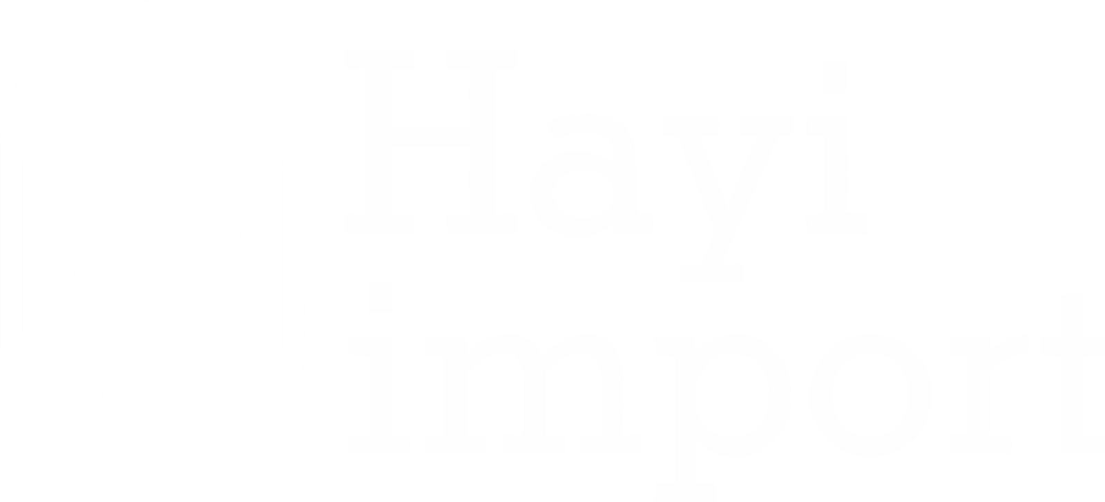 hayi-import.com