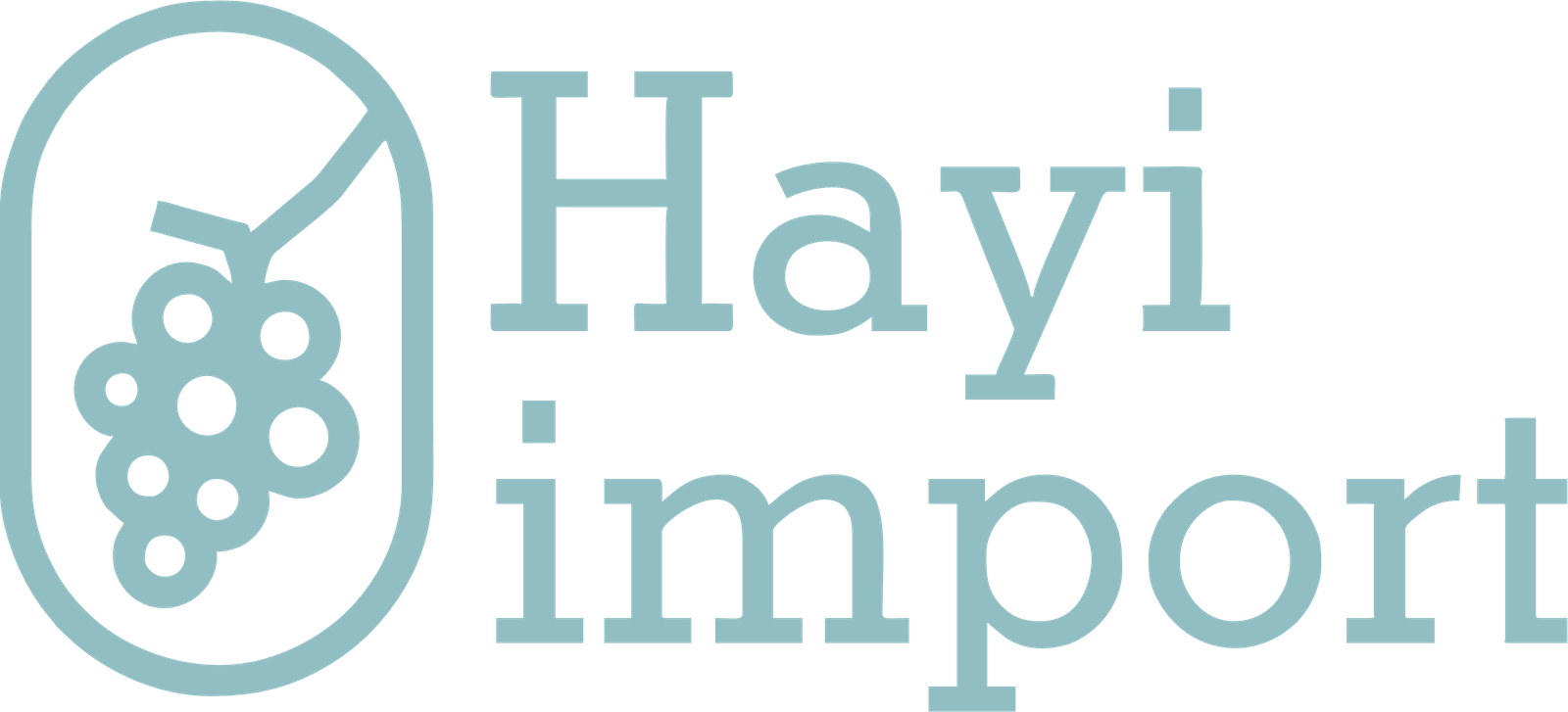 hayi-import.com